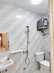 Serangoon Garden Estate (D19), Semi-Detached #639134321